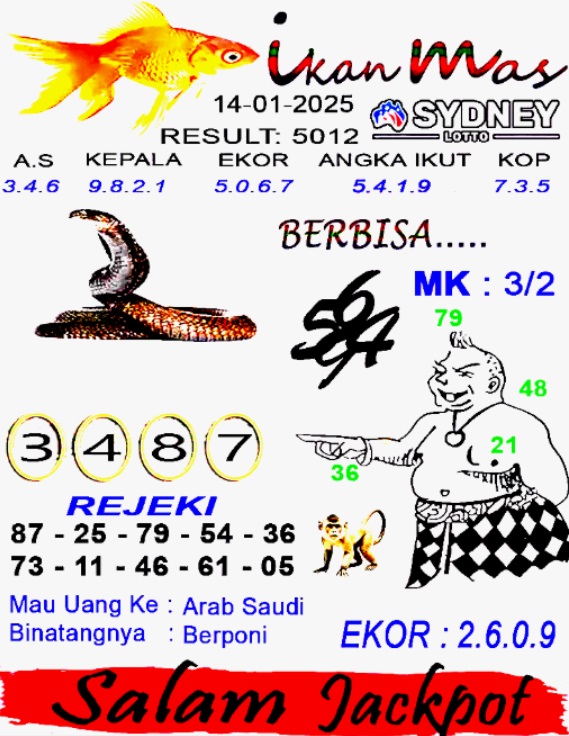 SYAIR SDY VIP